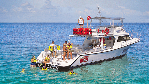 key largo snorkeling tours